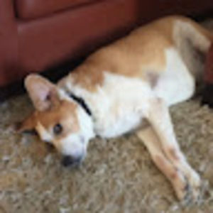 Meet your Posher, Joann